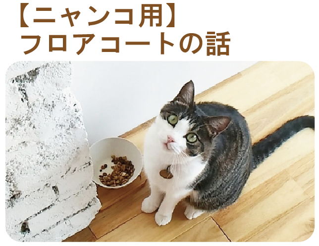 猫用のフロアコート