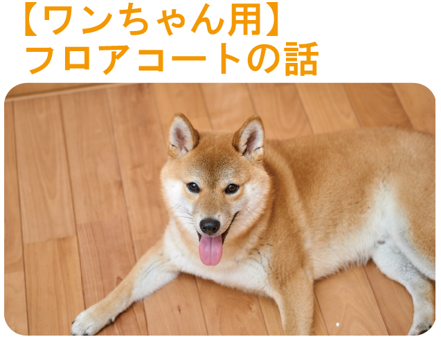 犬用のフロアコート