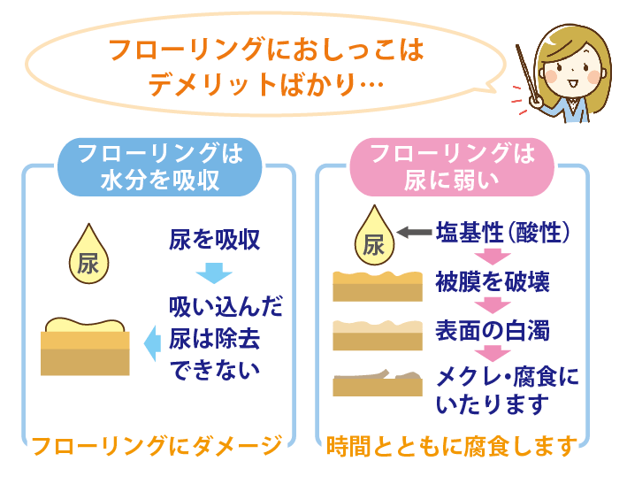 犬の尿はフローリングを痛める